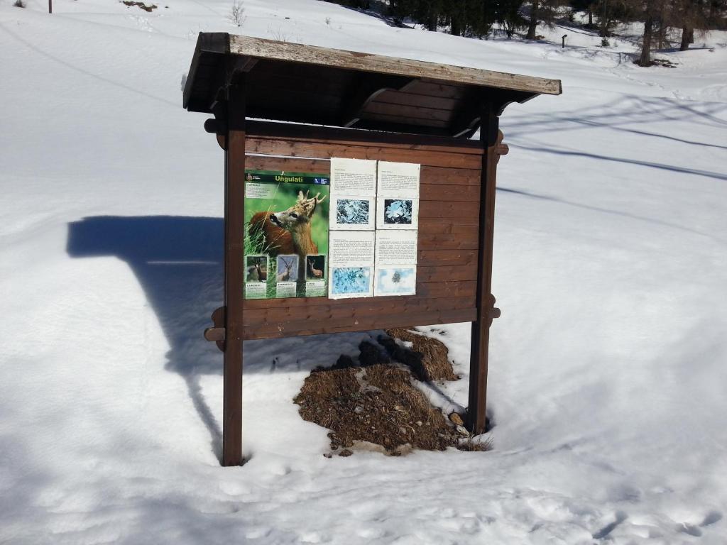 Ar Mountains Lodge Villachiara ブランツィ エクステリア 写真